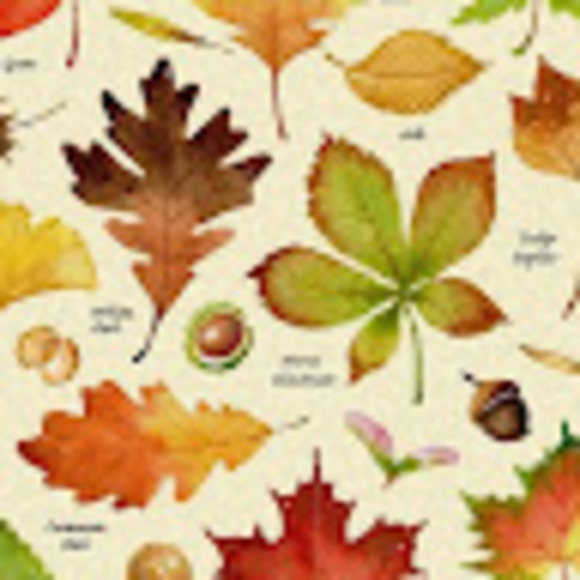 Meet your Posher, Olivia - Picture 1 of 1